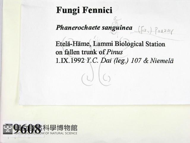 登錄號:F0009608藏品圖，第2張