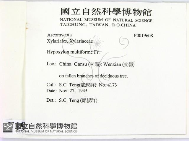 登錄號:F0019608藏品圖，第2張
