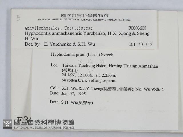 登錄號:F0003608藏品圖，第2張