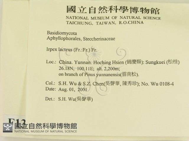 登錄號:F0013608藏品圖，第2張