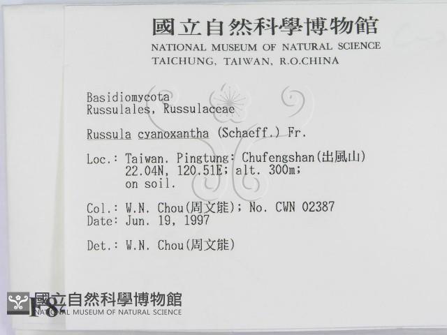 登錄號:F0008408藏品圖，第2張