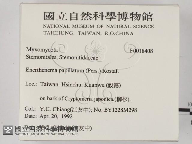 登錄號:F0018408藏品圖，第2張