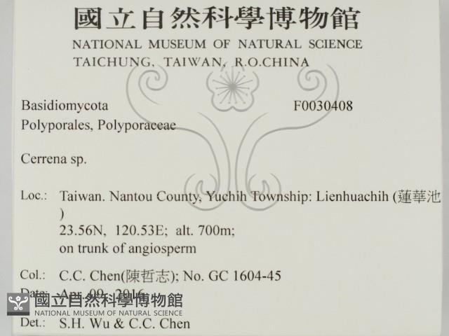 登錄號:F0030408藏品圖，第2張