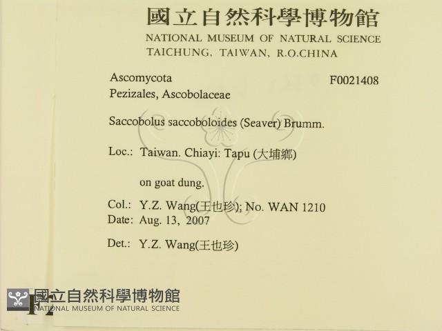 登錄號:F0021408藏品圖，第2張