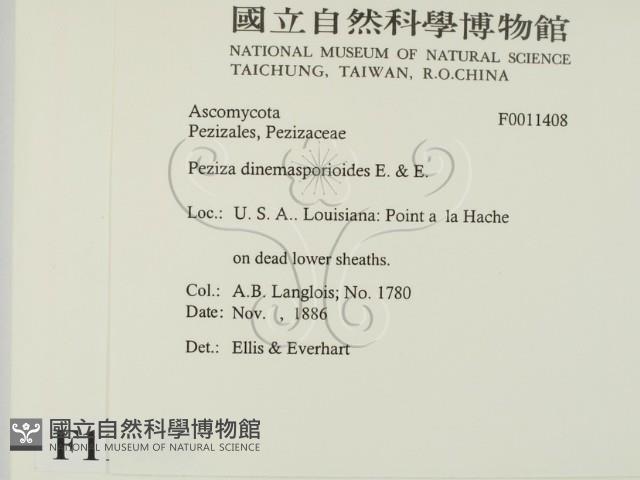 登錄號:F0011408藏品圖，第2張