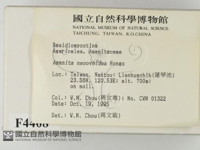 登錄號:F0004408藏品圖，第2張