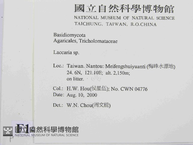 登錄號:F0014408藏品圖，第2張