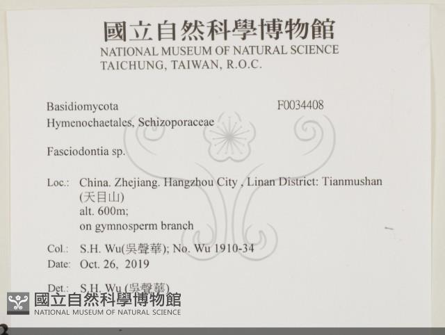 登錄號:F0034408藏品圖，第2張