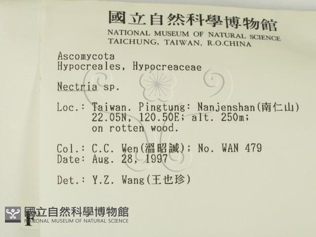 登錄號:F0007408藏品圖，第2張