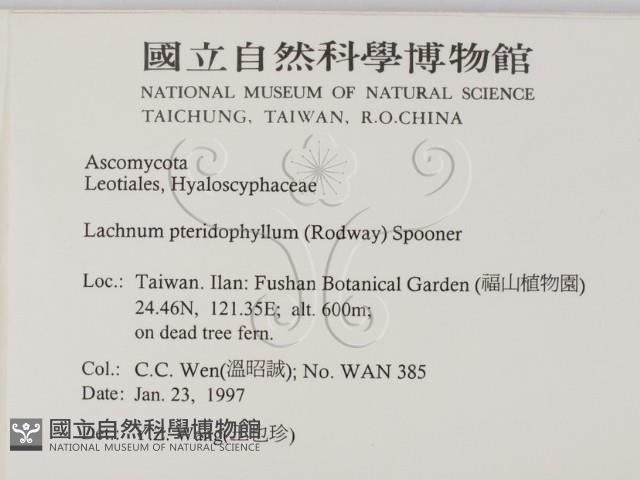 登錄號:F0005408藏品圖，第2張