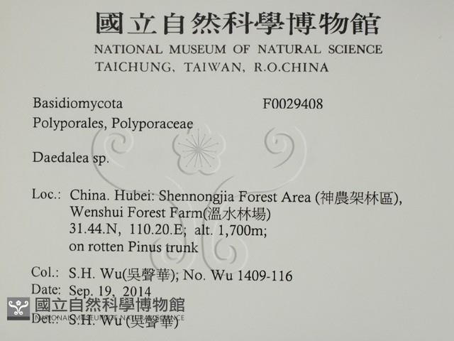 登錄號:F0029408藏品圖，第2張