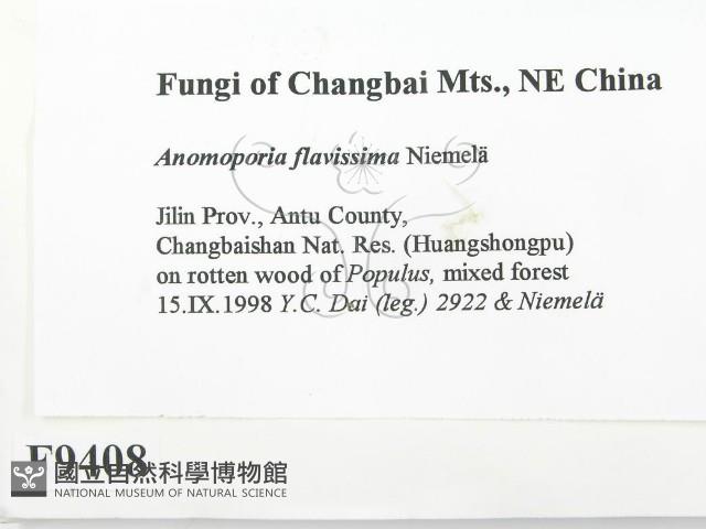 登錄號:F0009408藏品圖，第2張