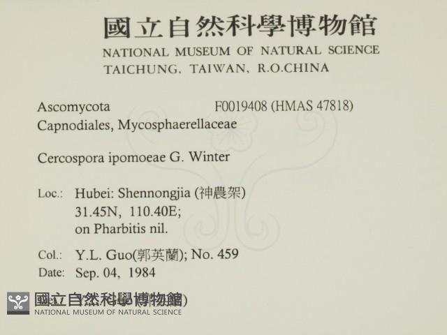 登錄號:F0019408藏品圖，第2張