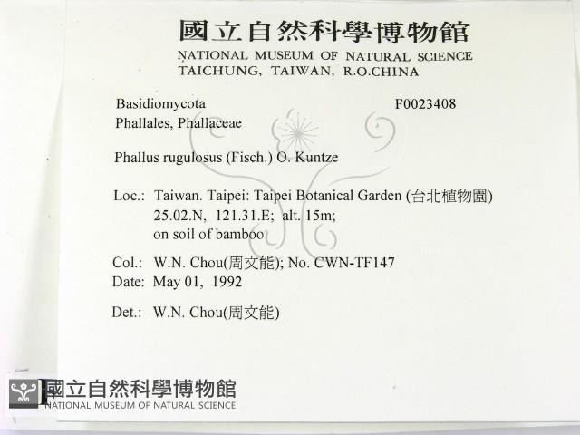 登錄號:F0023408藏品圖，第2張