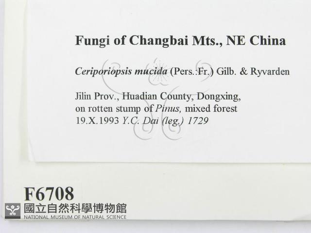 登錄號:F0006708藏品圖，第2張