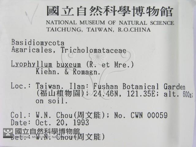 登錄號:F0001708藏品圖，第2張