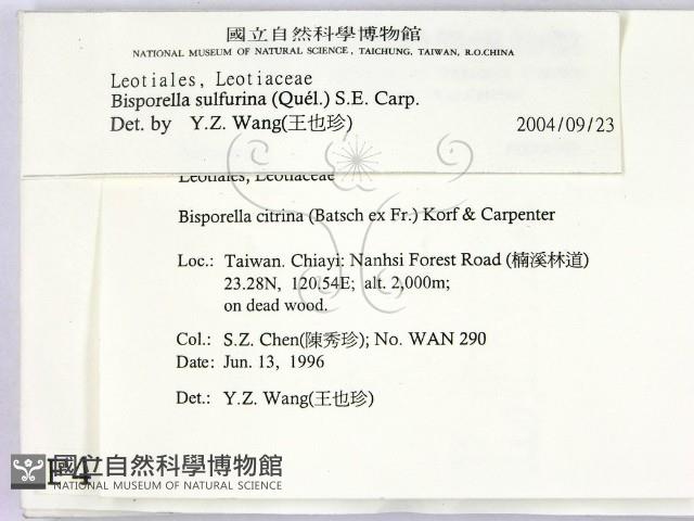 登錄號:F0004708藏品圖，第2張