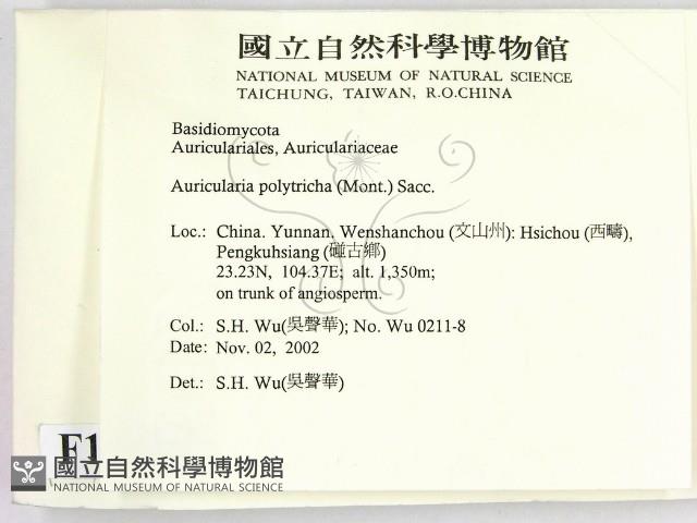 毛木耳藏品圖，第2張