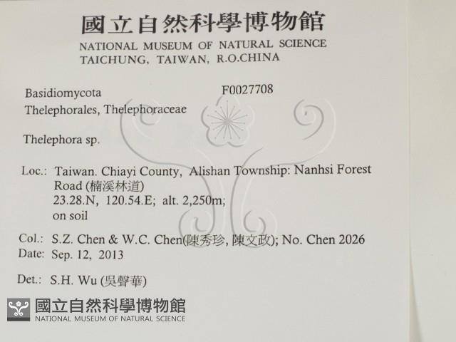 革菌屬藏品圖，第2張