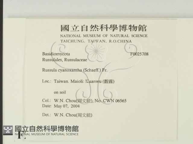 登錄號:F0025708藏品圖，第2張