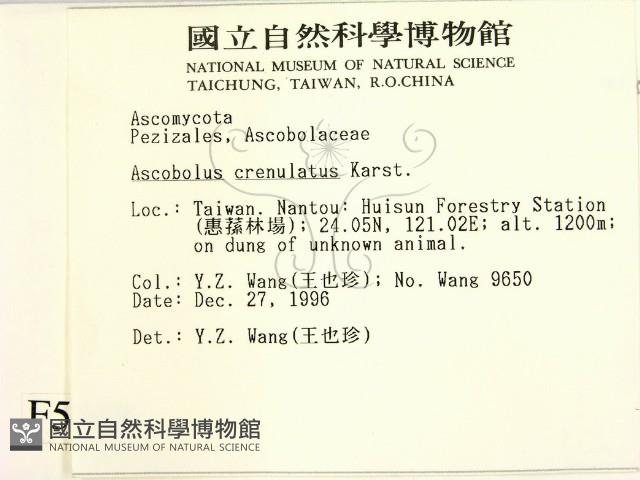 Accession Number:F0005708 Collection Image, Figure 2, Total 2 Figures