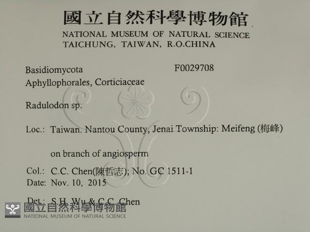 登錄號:F0029708藏品圖，第2張