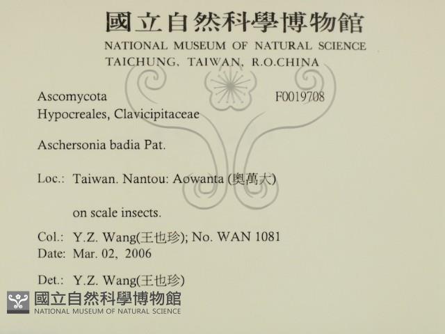 登錄號:F0019708藏品圖，第2張