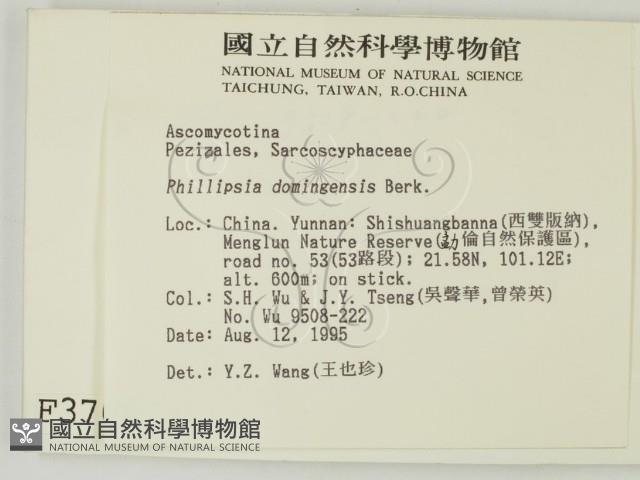 登錄號:F0003708藏品圖，第2張