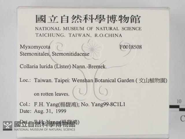 登錄號:F0018508藏品圖，第2張
