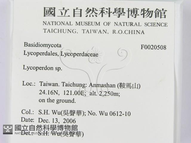 登錄號:F0020508藏品圖，第2張