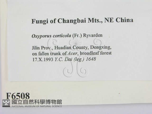 登錄號:F0006508藏品圖，第2張