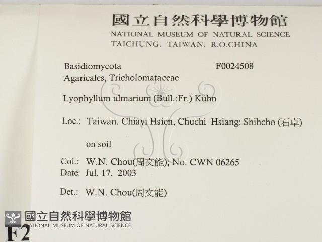 登錄號:F0024508藏品圖，第2張