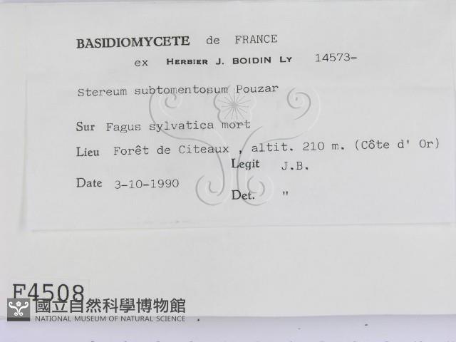 登錄號:F0004508藏品圖，第2張