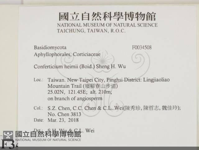 登錄號:F0034508藏品圖，第2張