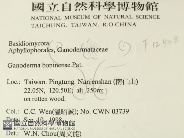 登錄號:F0012508藏品圖，第2張