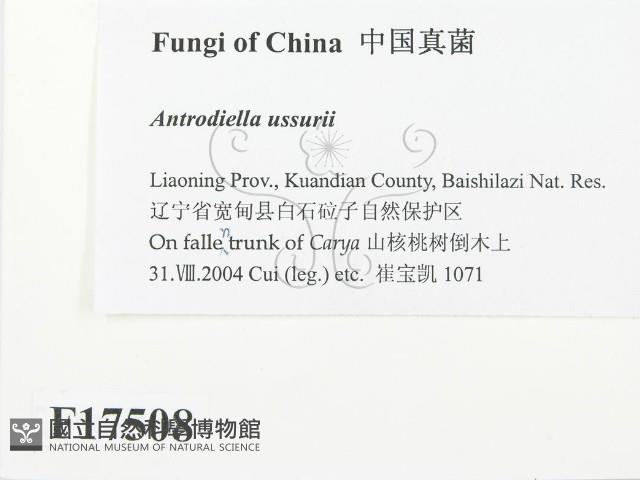 登錄號:F0017508藏品圖，第2張