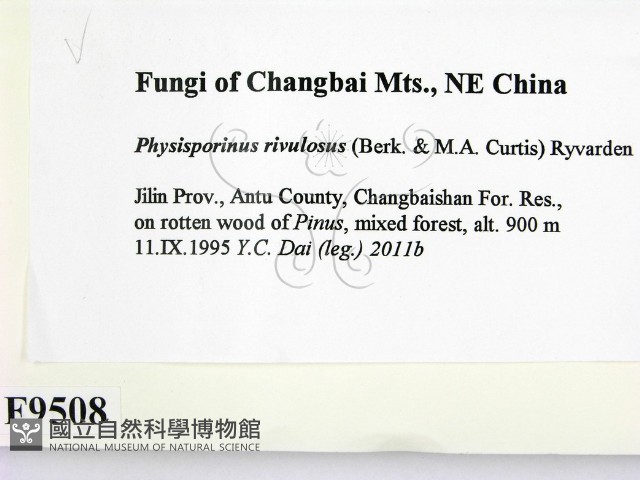 登錄號:F0009508藏品圖，第2張