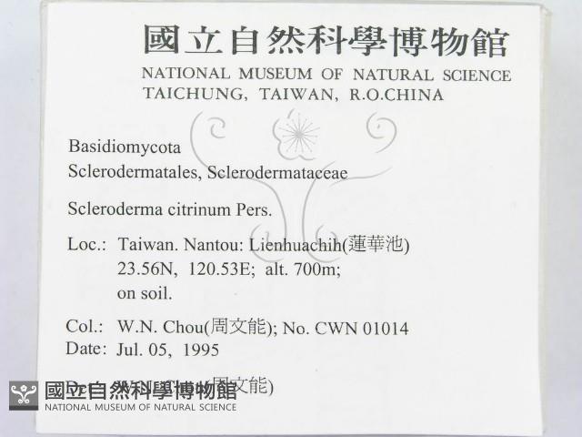 登錄號:F0003508藏品圖，第2張