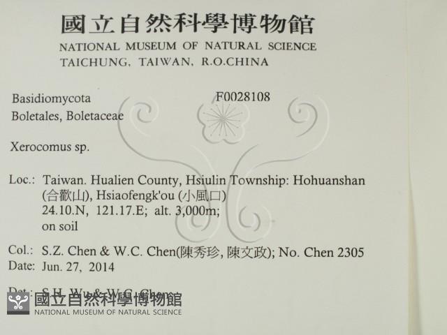 登錄號:F0028108藏品圖，第2張