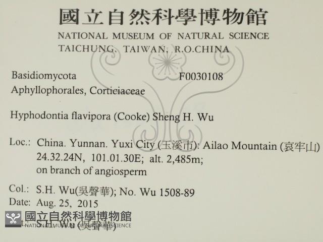 登錄號:F0030108藏品圖，第2張