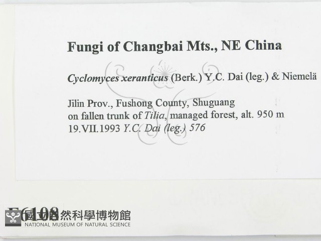 登錄號:F0006108藏品圖，第2張