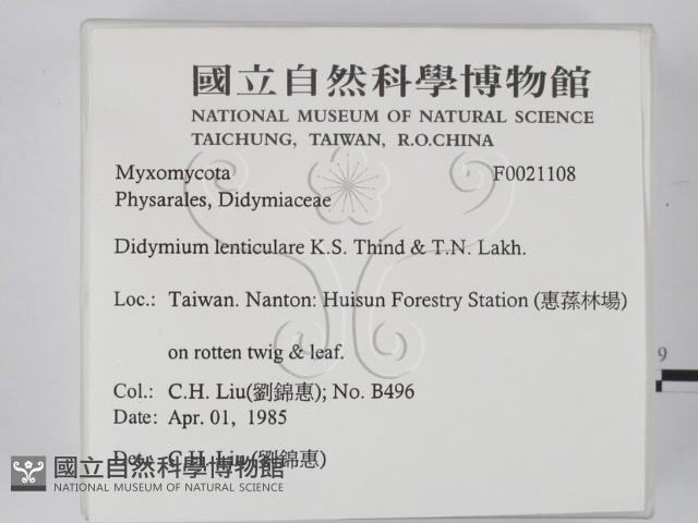 登錄號:F0021108藏品圖，第2張