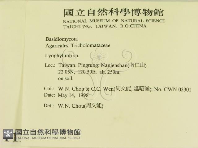 登錄號:F0011108藏品圖，第2張