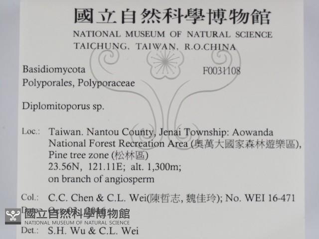 登錄號:F0031108藏品圖，第2張