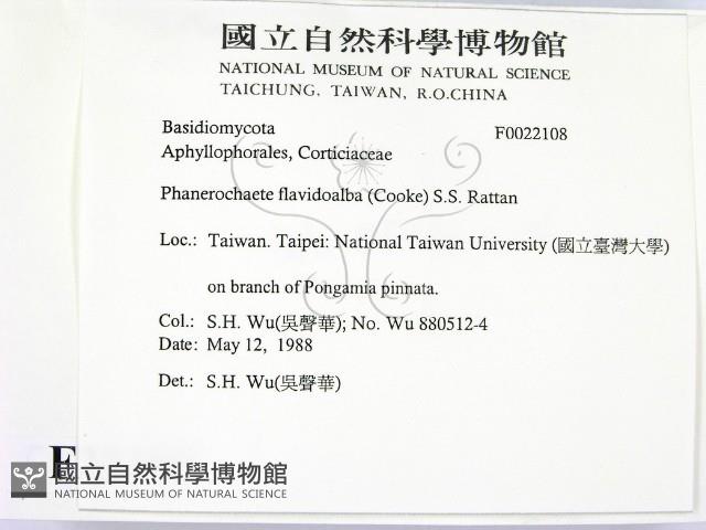 登錄號:F0022108藏品圖，第2張