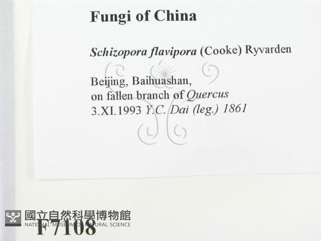 登錄號:F0007108藏品圖，第2張