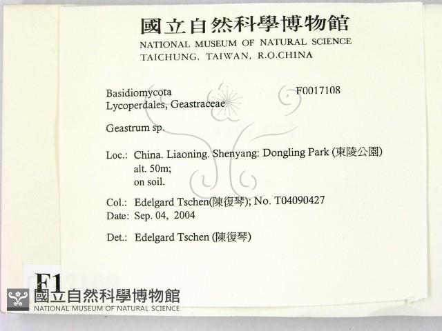 地星屬藏品圖，第2張