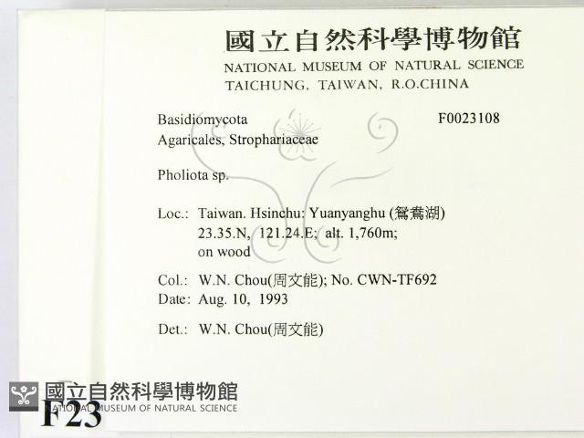 登錄號:F0023108藏品圖，第2張