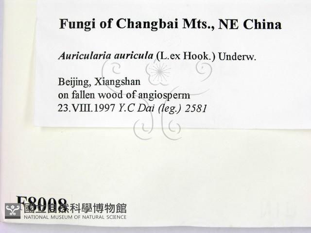 登錄號:F0008008藏品圖，第2張