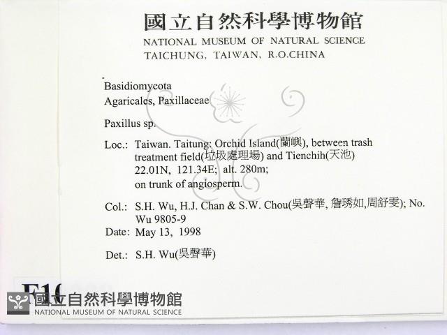 登錄號:F0010008藏品圖，第2張